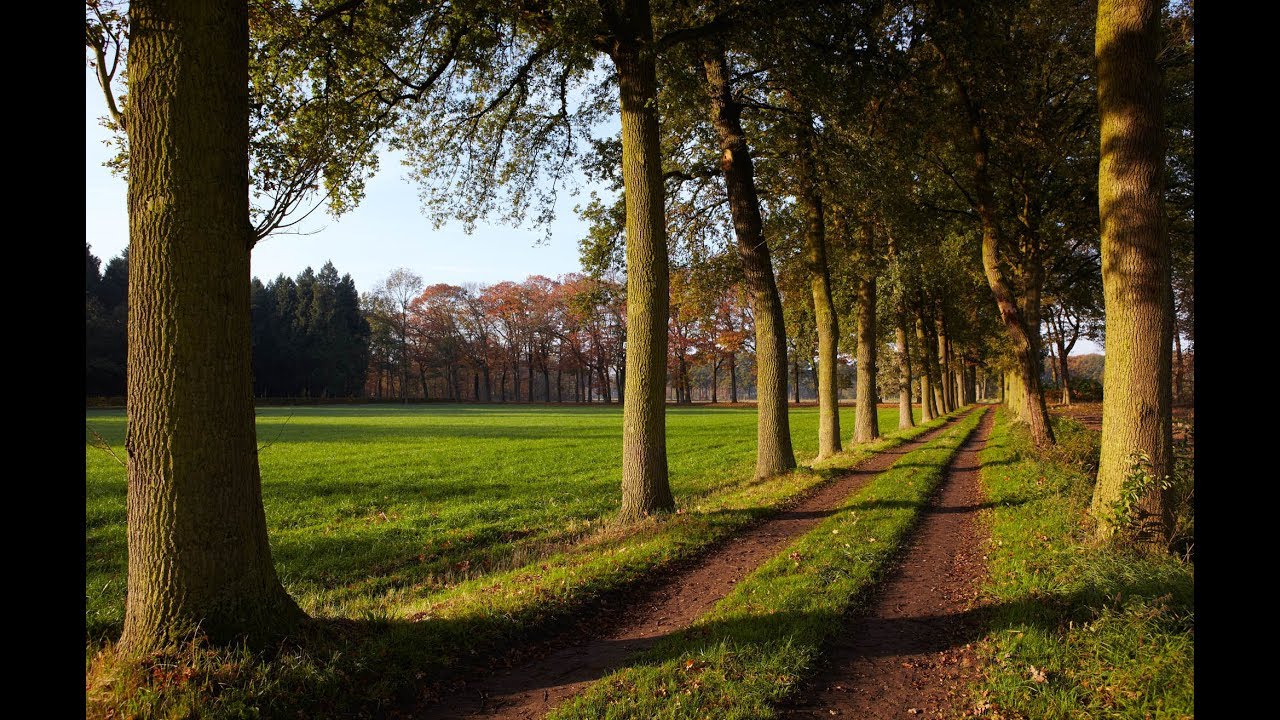 LANDSCHAPSPRIJS 2019