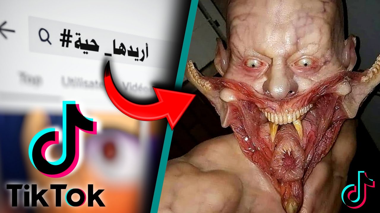 لا تكتب أبدا هاته الكلمة على التيكتوك #04