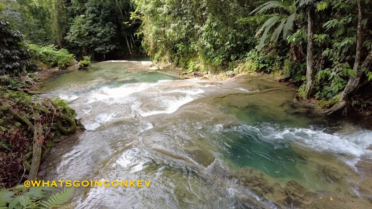 Check out one of Jamaica’s 🇯🇲 hidden gems, Benta River in Westmoreland.