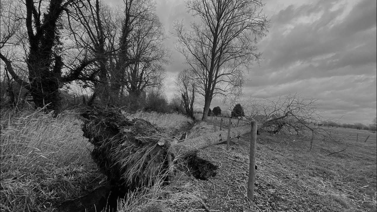 Storm in Lebbeke op 18/2/2022