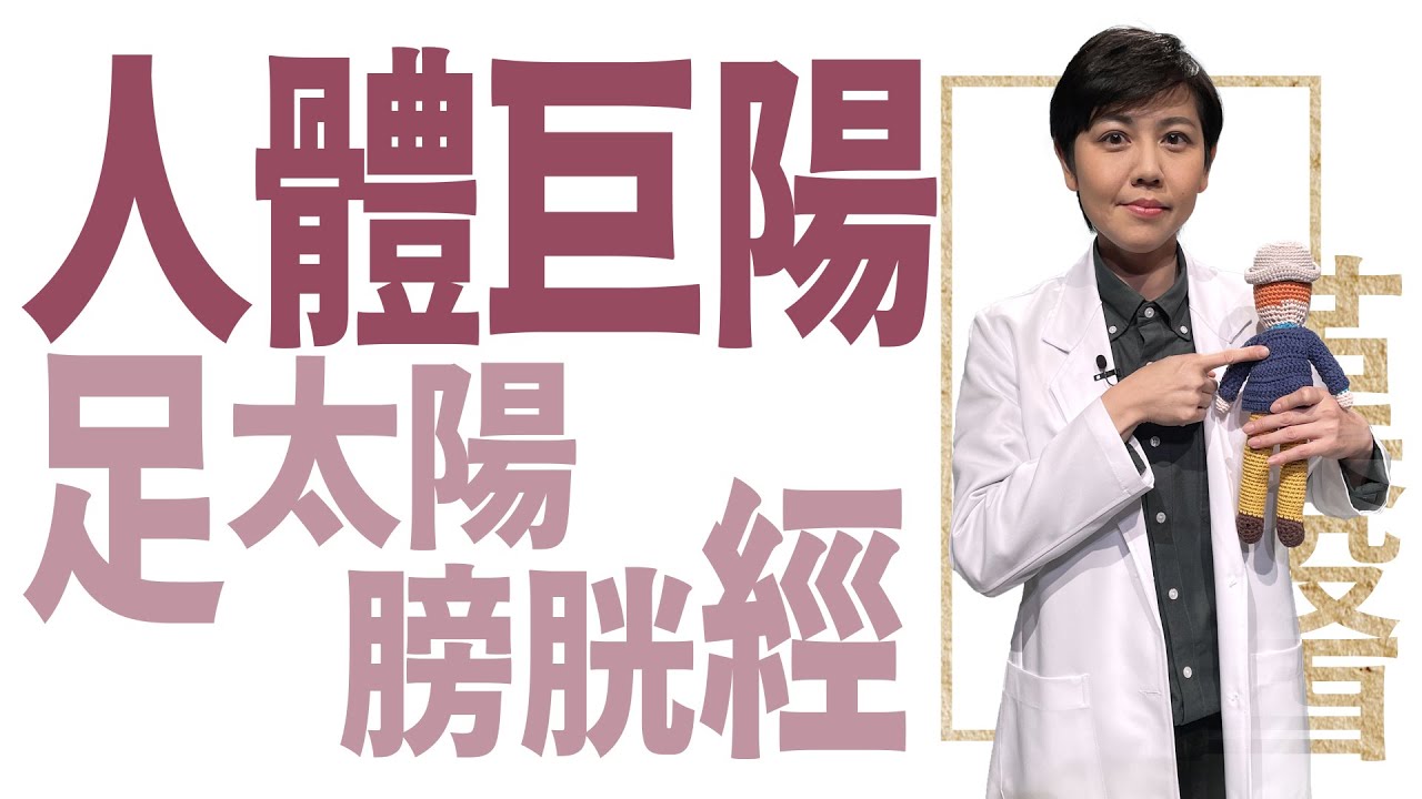 人體巨陽 足太陽膀胱經 | 林芳竹 | 大愛學漢醫 | 20240528