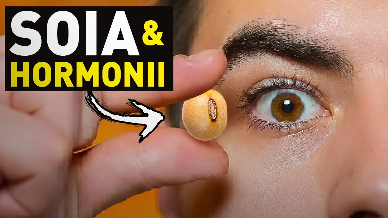 Soia vs Testosteron si Estrogen