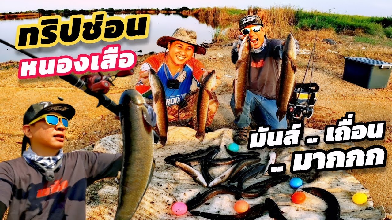 ตกปลาช่อน หมายกว้างๆ น้ำลึกๆ ต้องหาตัวแบบนี้นะ !! Texas Rig Series (Ep.115)​