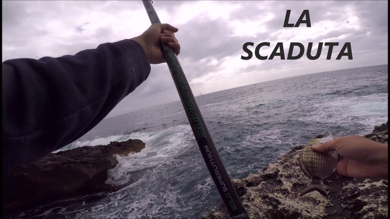 Bolognese, Bigattino, e Scaduta in Scogliera - Pesca a Bolognese in Mare per Saraghi e Occhiate