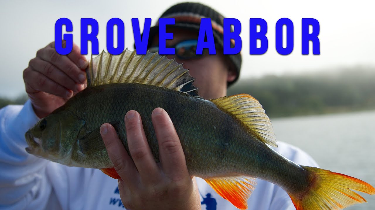 Abborfiske i Visterflo