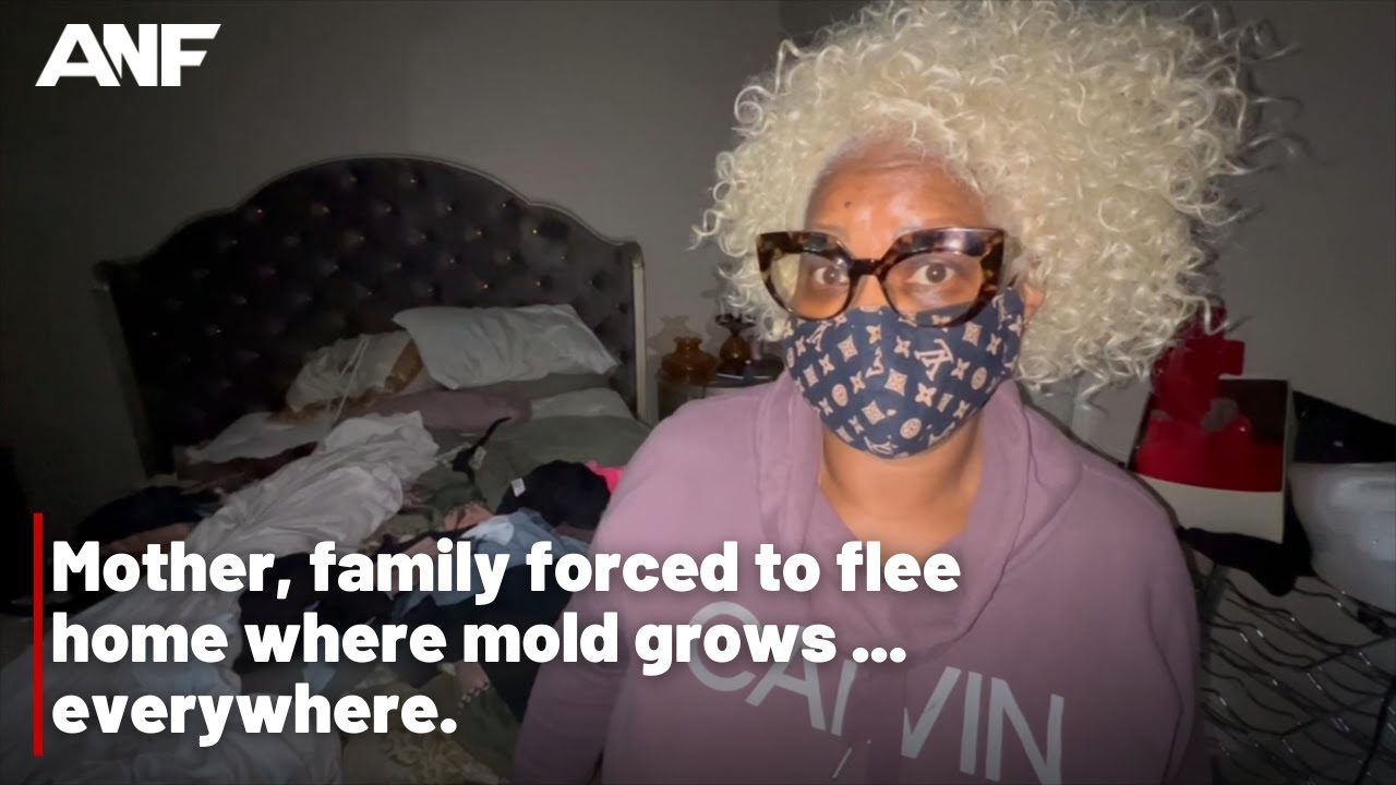 Mother, family flee rental home after mold grows everywhere