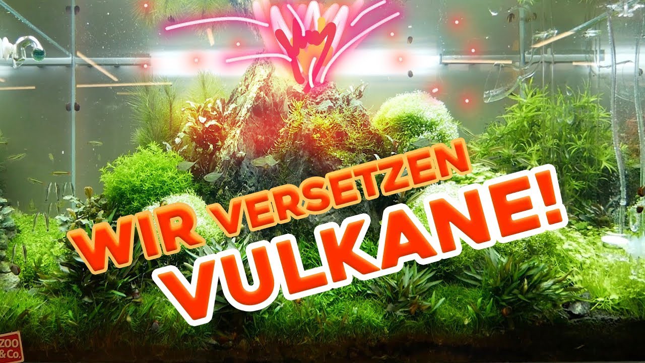 Wir versetzen den VULKAN!