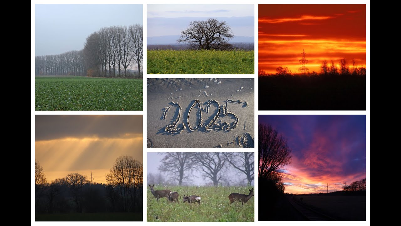 Der Dezember