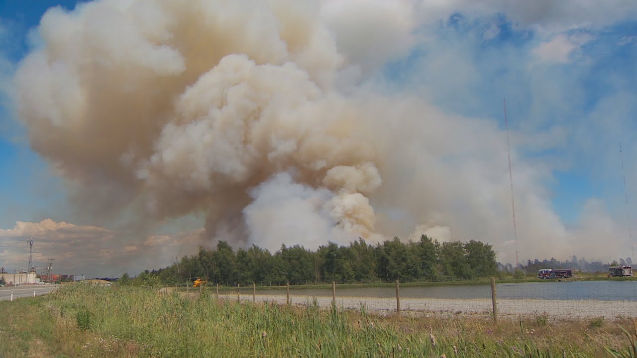 Burns Bog fire 50% contained