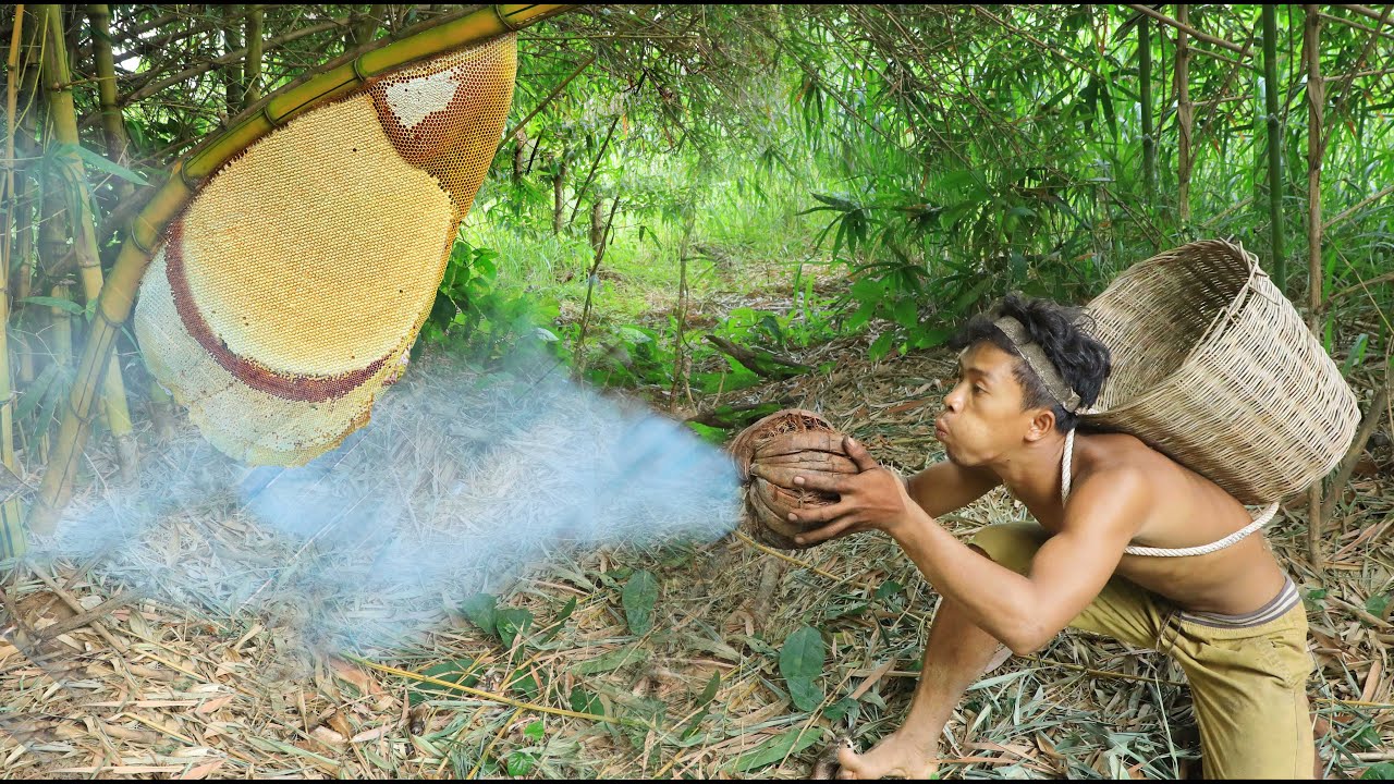 Survival In The Rainforest - BAMBOO SHOOTS - CUTE PARROT - BEES