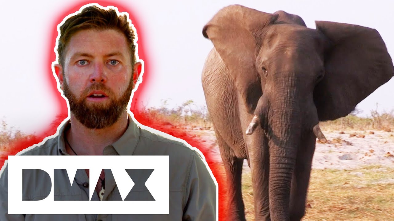 Ginormous Bull Elephant Attacks Village In Mozambique! | Mysterious Creatures With Forrest Galante