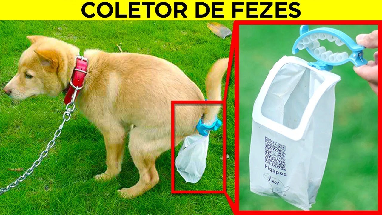 Invenções Inúteis Criadas Por Cientistas Entediados
