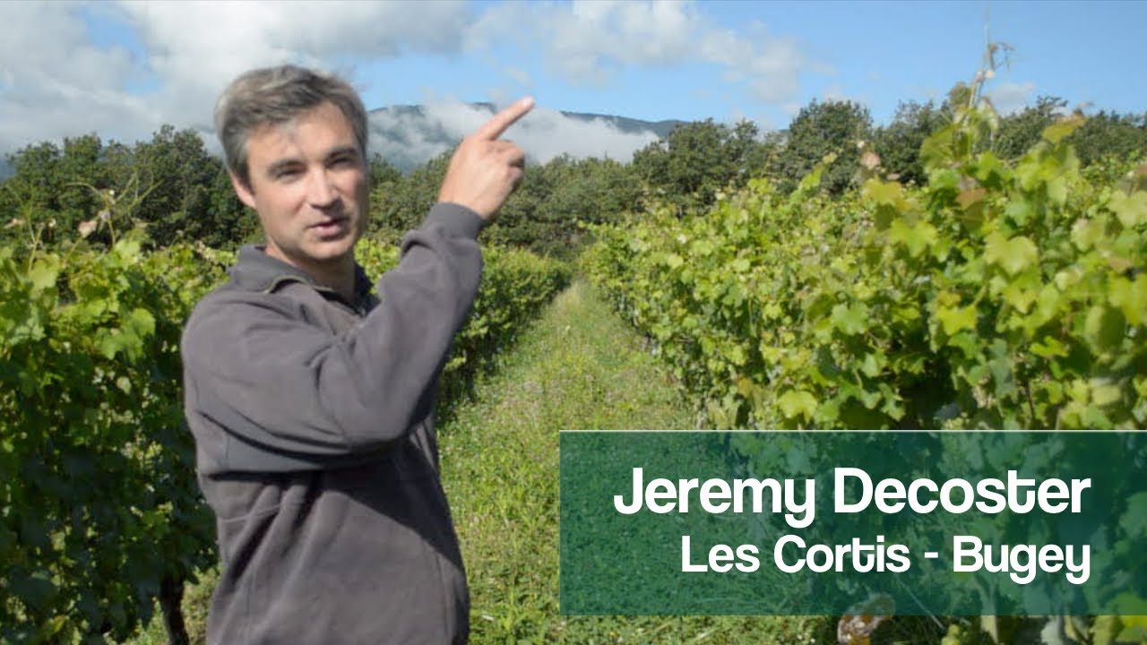 Du sel et de la complantation dans le Bugey - Les Cortis - Jeremy Decoster
