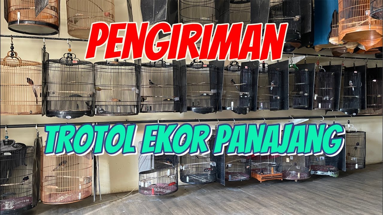 PENGIRIMAN TROTOL EKOR PANJANG