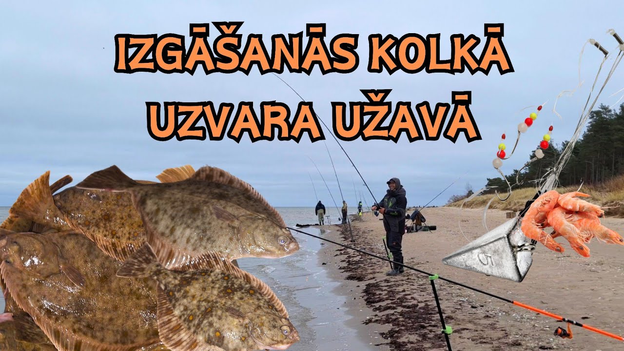 Kā es no Kolkas bušu mačiem nonācu Užavā! Bušu cope 2024! Līdz viduklim jūrā 100 metrus no krasta.