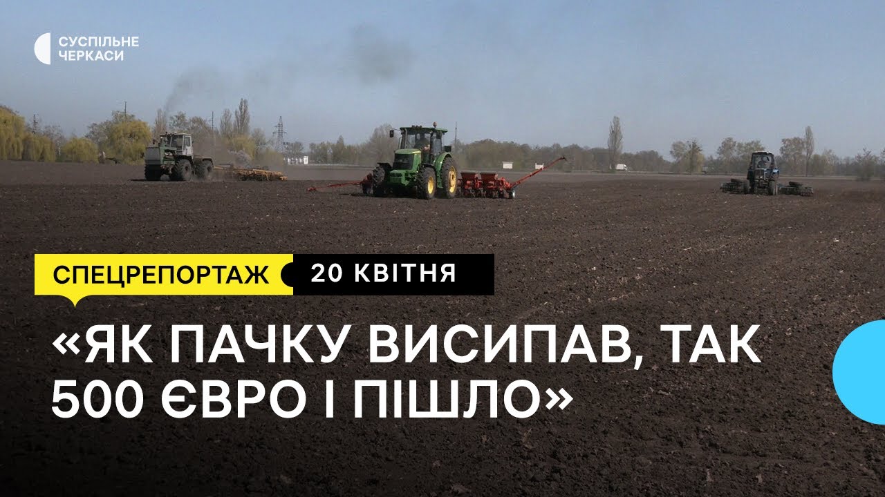 (Не) рентабельний цукровий буряк