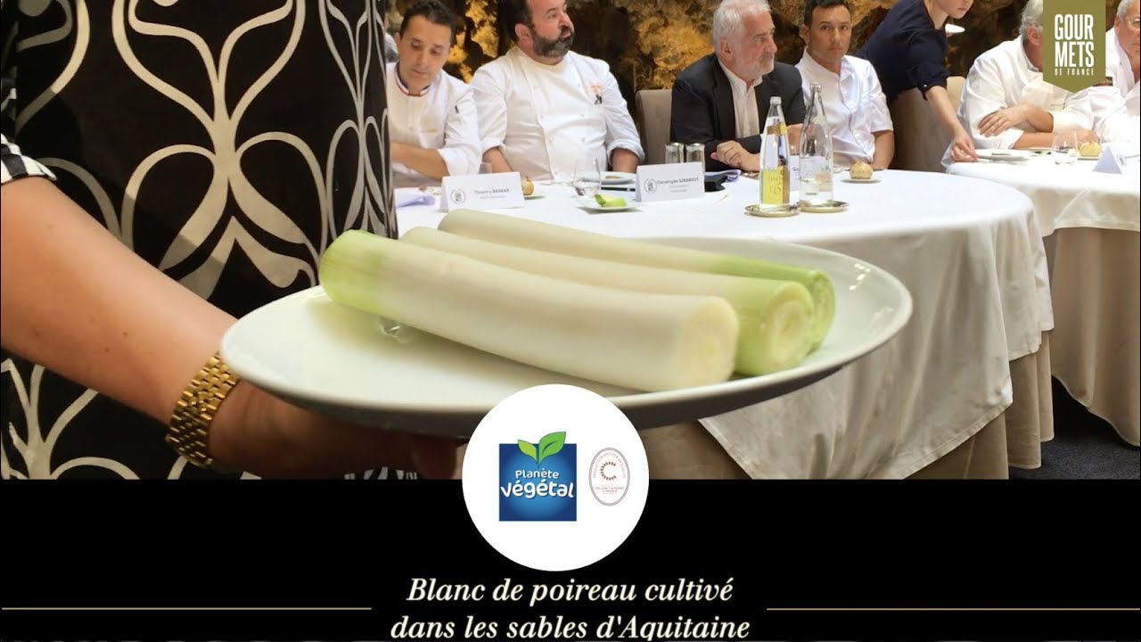 Évaluation de ces blancs de poireau - Planète Végétal ! GdF n°27