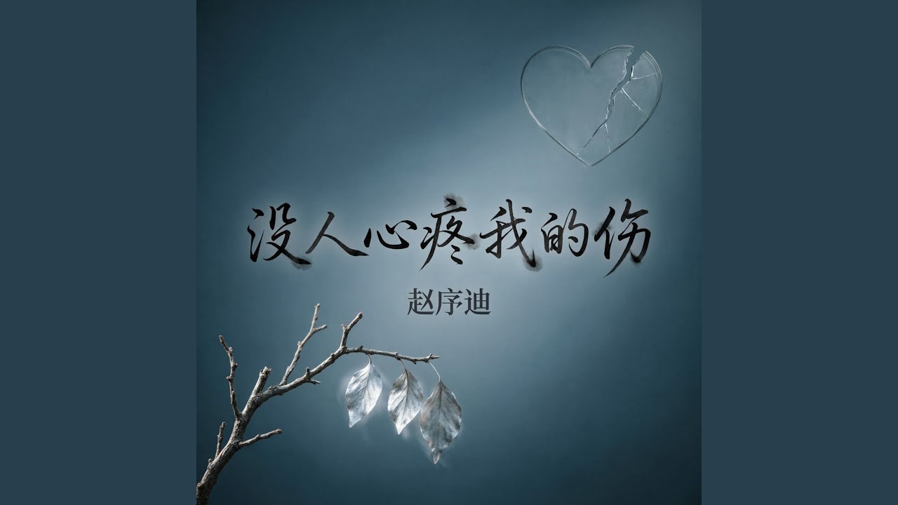 没人心疼我的伤