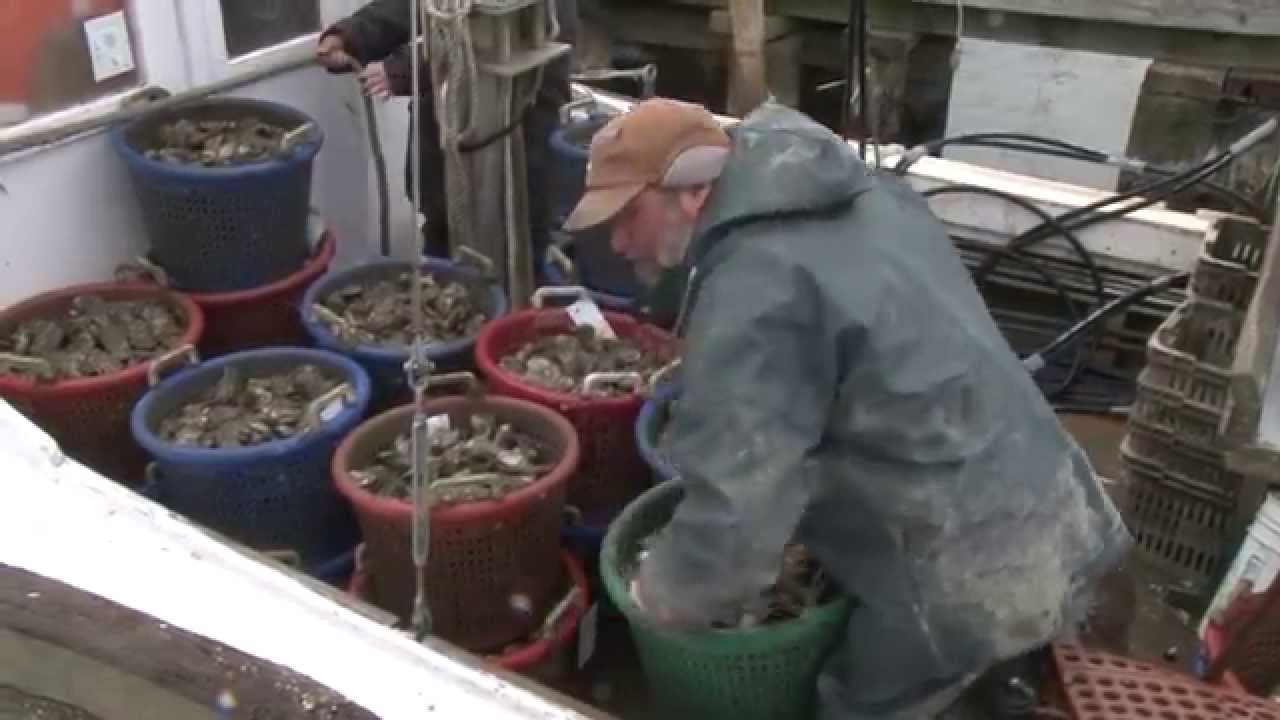 WATERMEN WINTER:  Icy waters prove challenging for area watermen