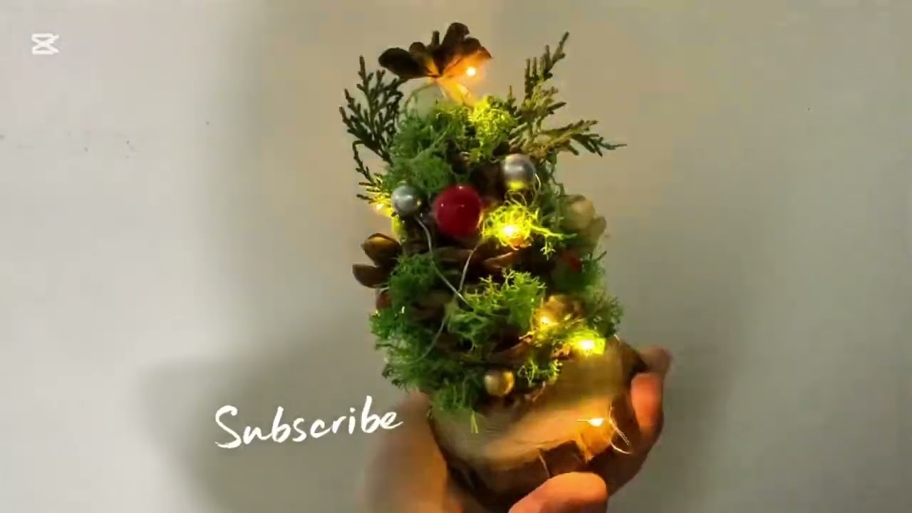 Merry Christmas and a happy new year 🥳 