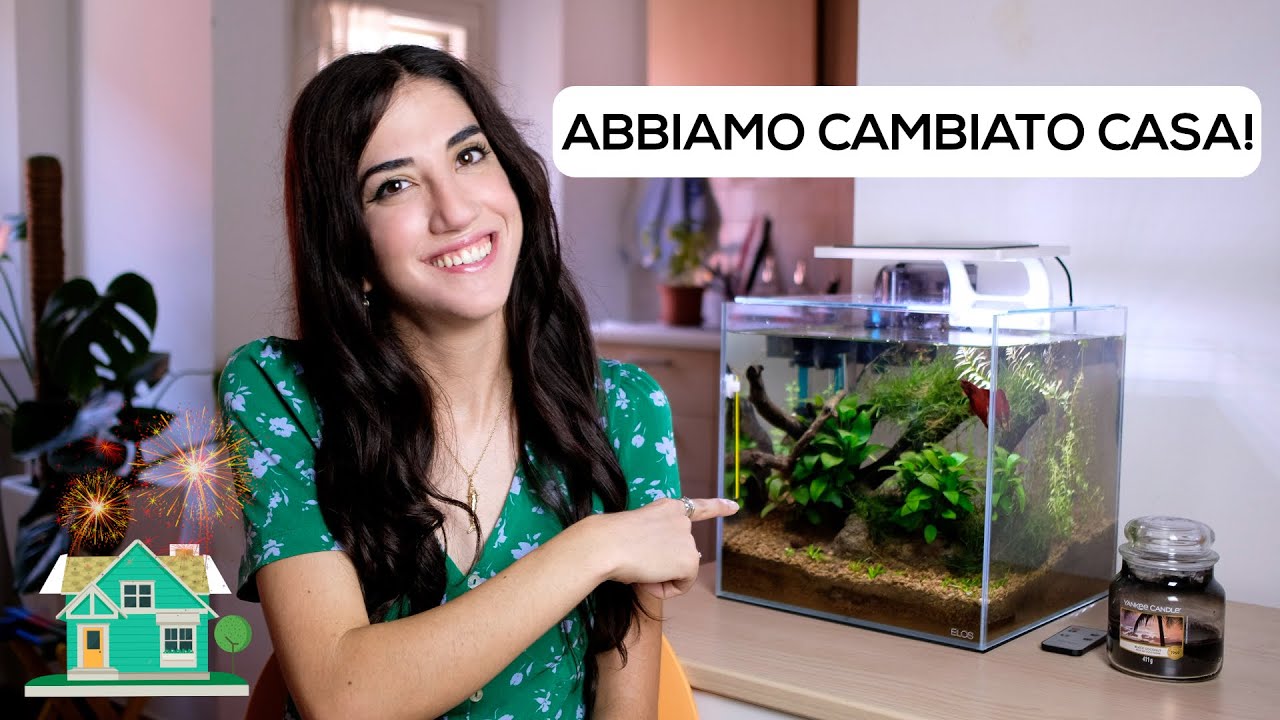 TRASLOCO i miei ACQUARI nella CASA nuova!
