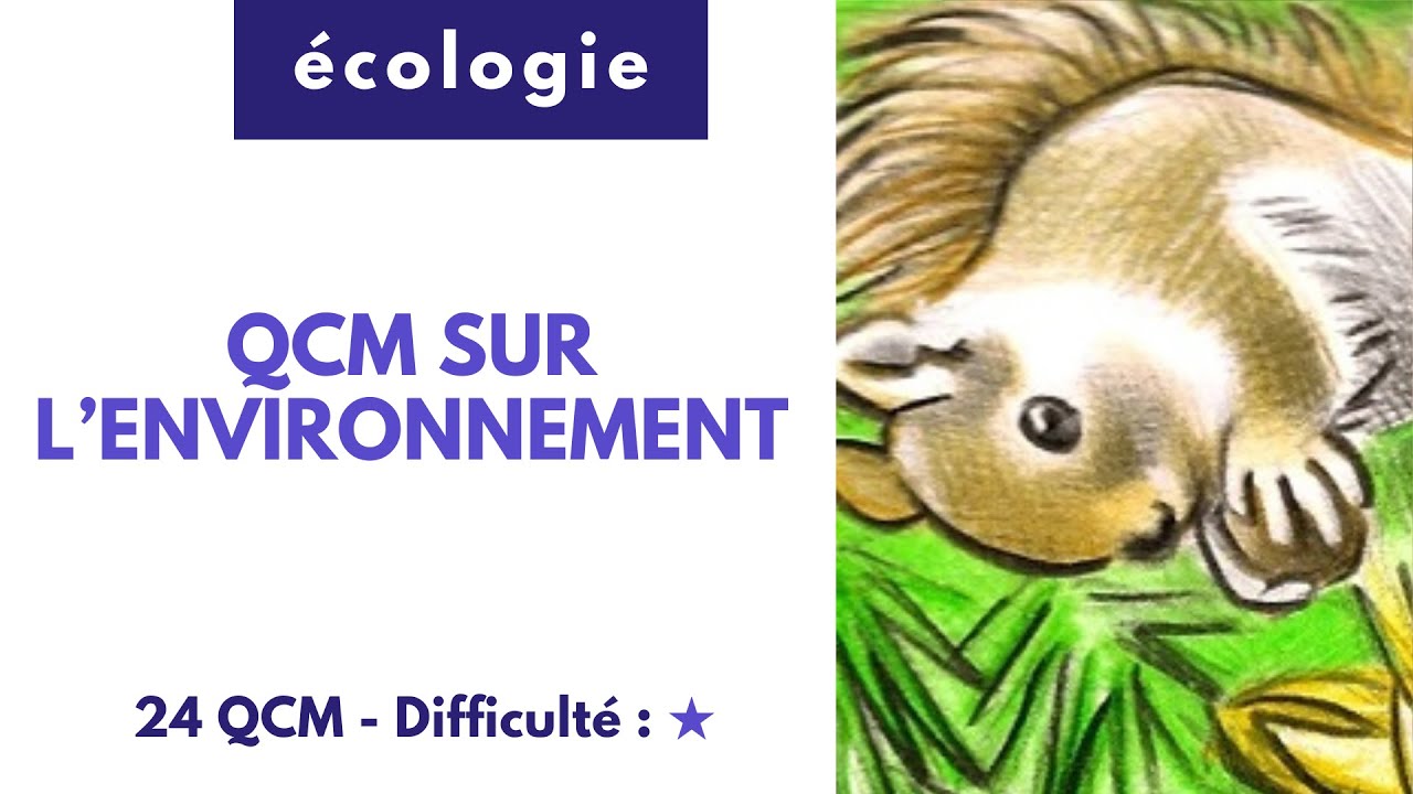 QCM sur L'environnement (24 QCM)