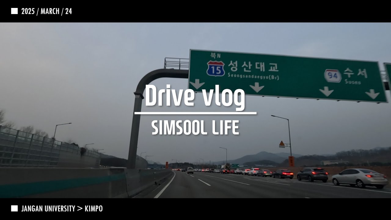 2025 0324 퇴근 Driver Vlog SIMSOOL 장안대 ACC 너무 믿지마세요 첫사고
