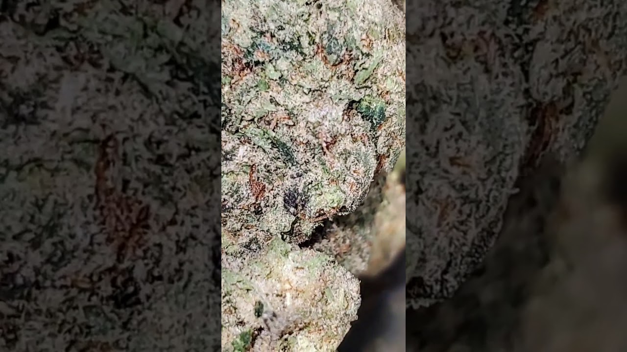 Sherb Head via #Organix