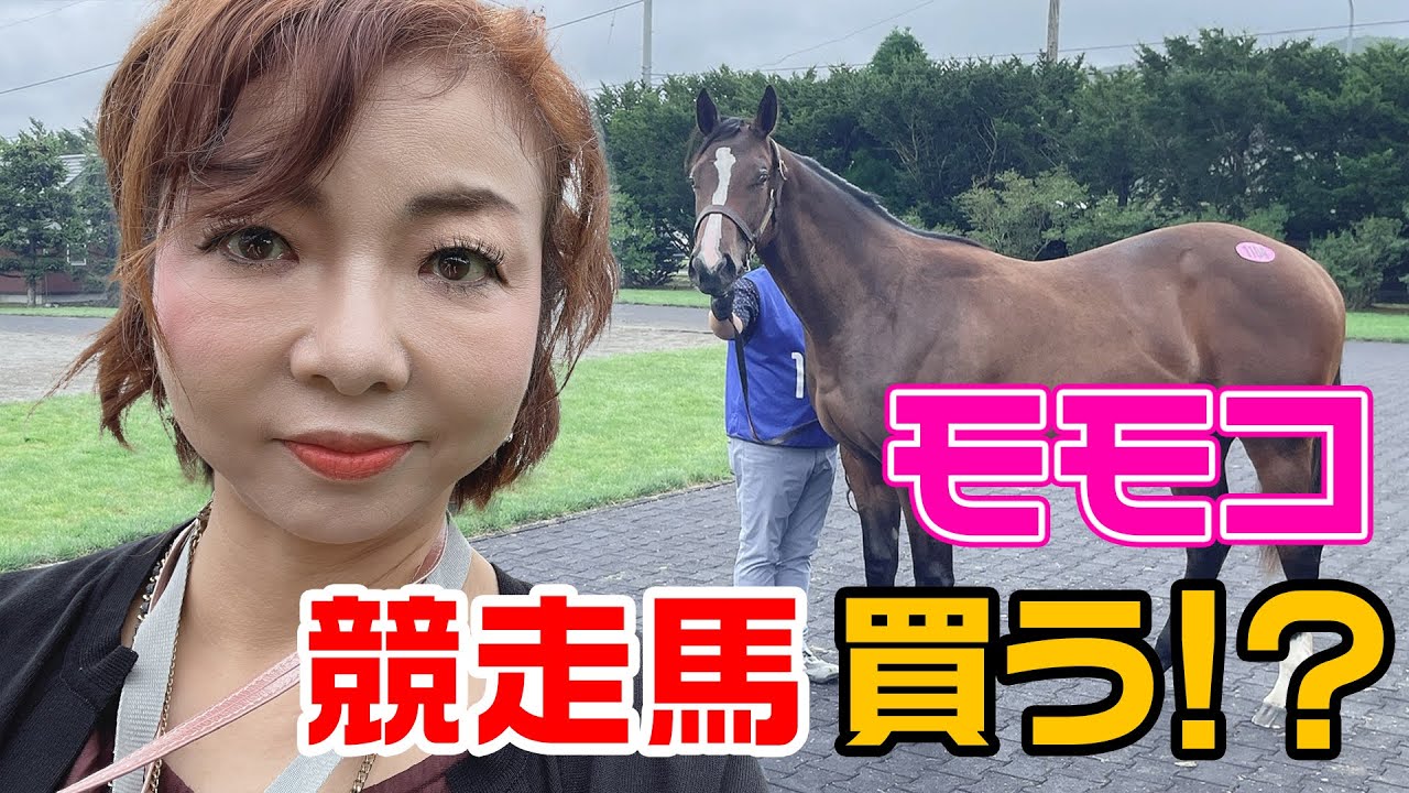 ▶252【まさかの馬主！？】人生初体験！▼競走馬の「サマーセール」を見に行った！▼「馬を買う」という人に連れて行ってもらった▼最終的にモモコが馬に命名？