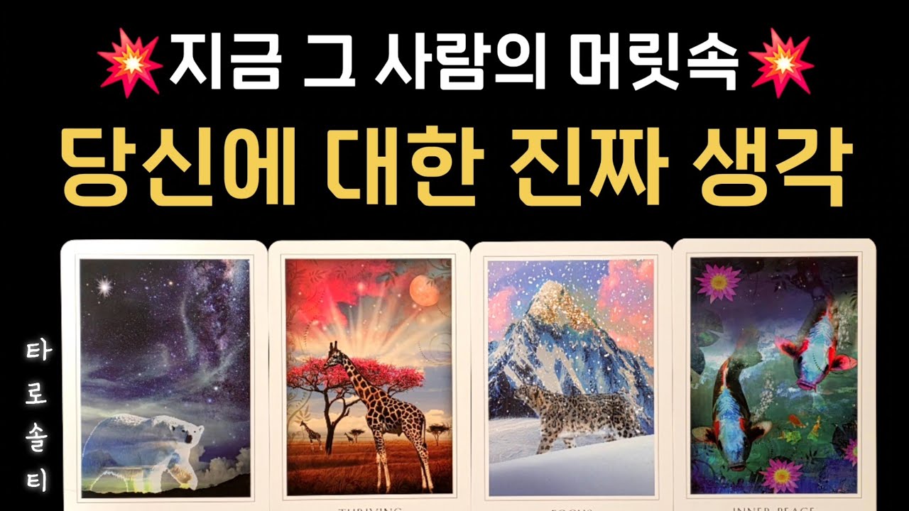 [타로카드/속마음] 지금 그 사람의 머릿속 당신에 대한 진짜 생각 (+ 상대의 속마음과 감정 분석 / 행동 예측 / 현실 조언)