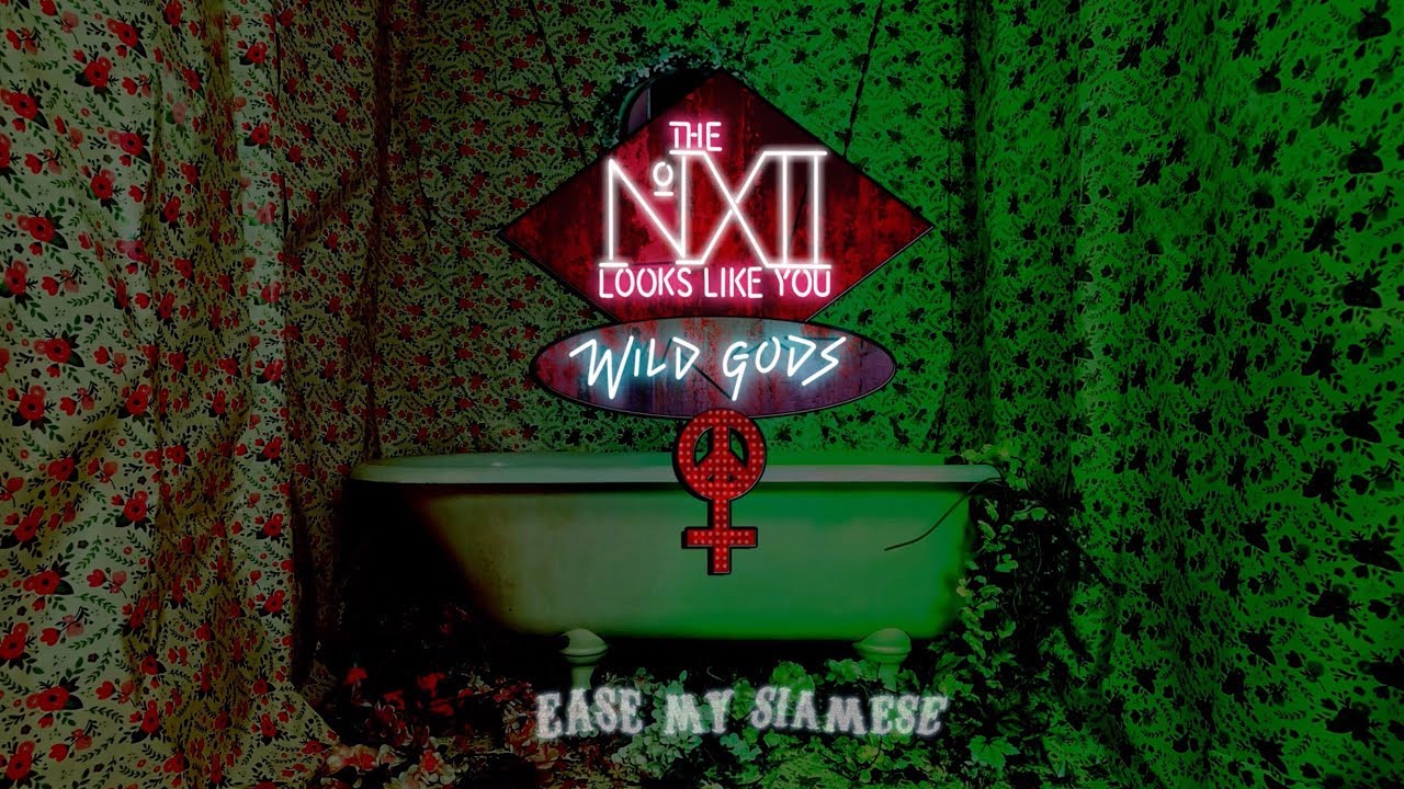 The Number Twelve Looks Like You - Ease My Siamese (Lyric Video)