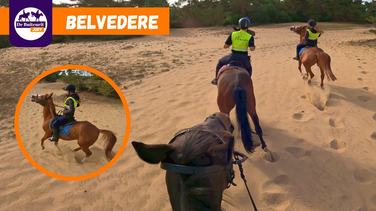 AAN DE KLETTER OP BUITENRIT - BELVEDERE | De Buitenrit Jury Afl.5