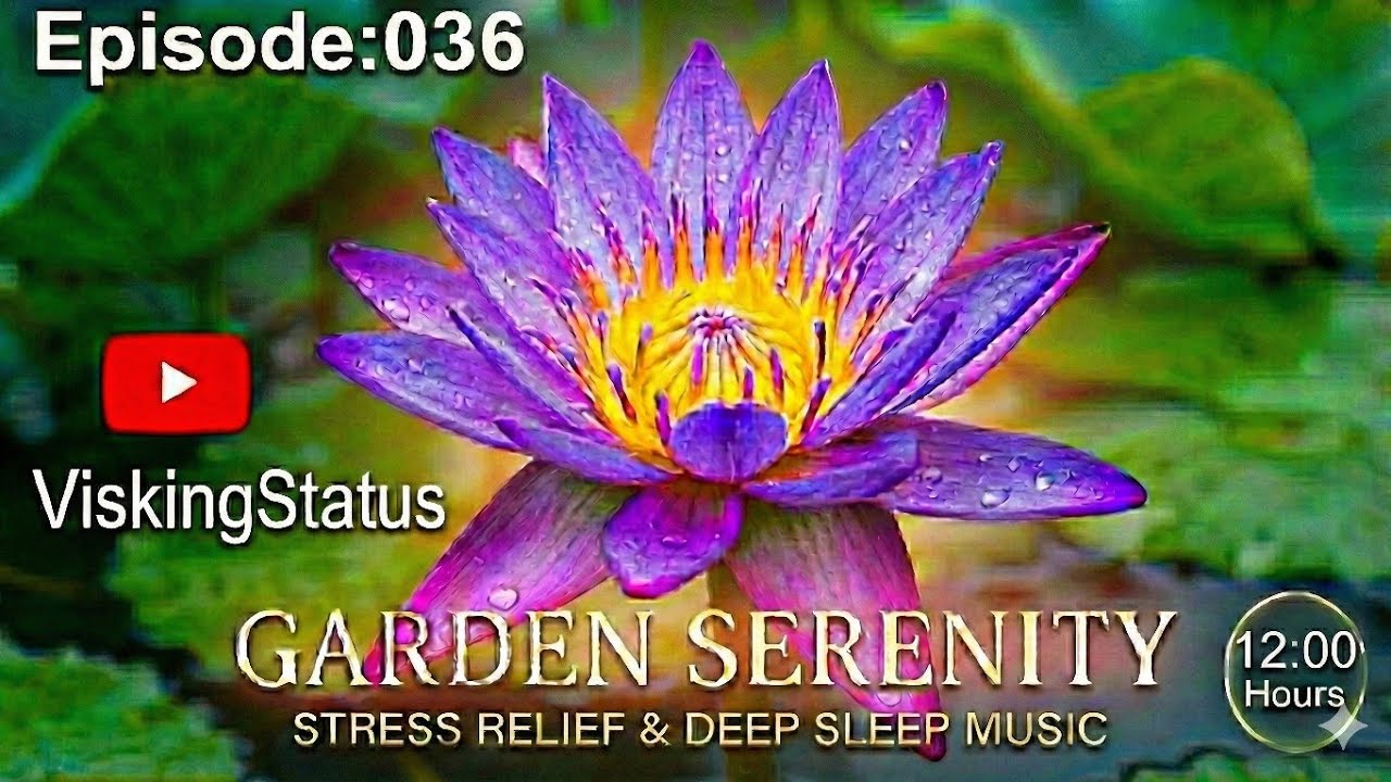 Ep:036 of the Relax series. calm your nervous system.Watch as your worries fade away with every #1m 