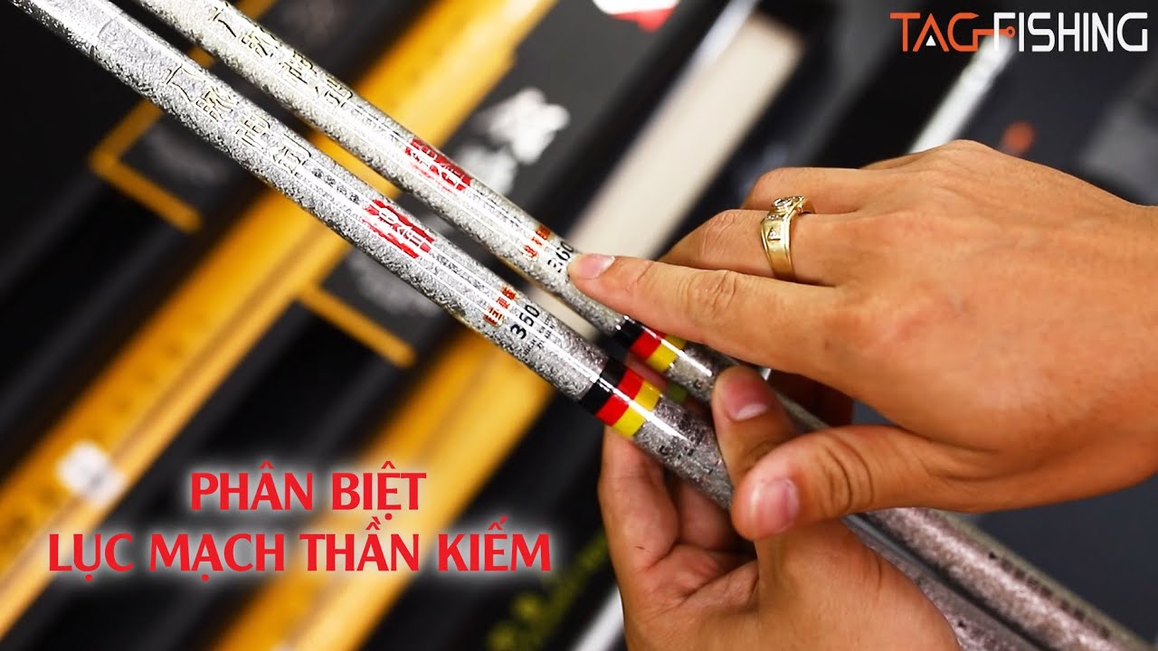 Cách Phân Biệt 3 Phiên Bản Cần Lục Mạch Thần Kiếm Của Hãng Guide