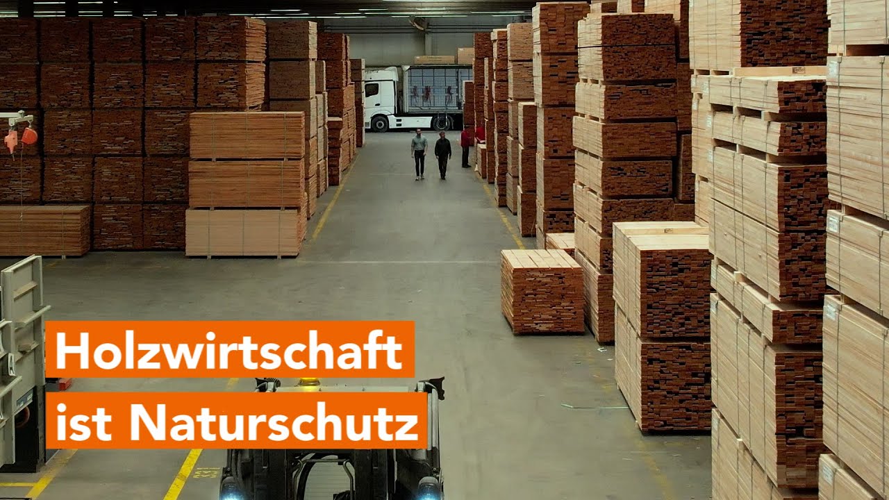Holzwirtschaft ist Naturschutz - bei Pollmeier in Malchow weiß man warum