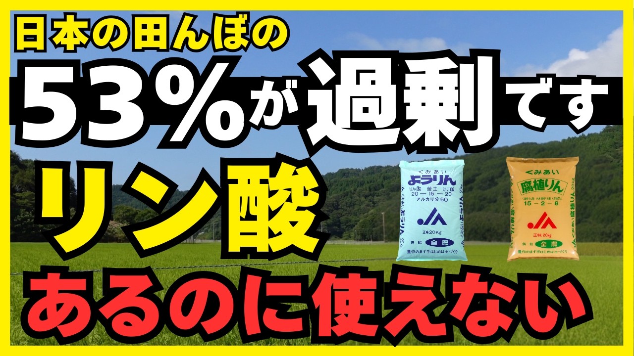 まだ肥料を買いますか？田んぼの「埋蔵金」を掘り起こせば、追肥はゼロでいい。