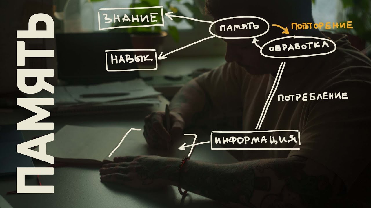 Плохая память? Дело вовсе не в ней! | tenzor archi