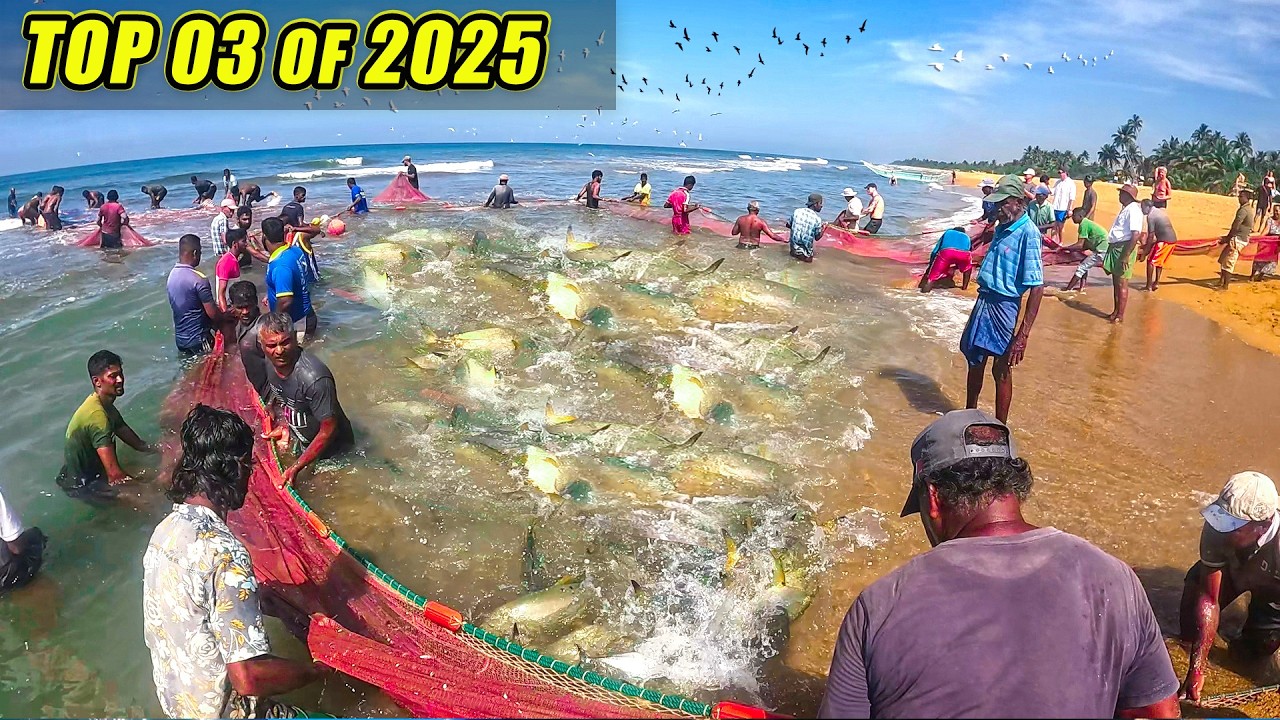 ''Top 03 BEST Fishing Moments In 2025