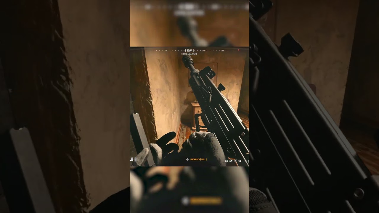 This Weapon is INSANE in Warzone