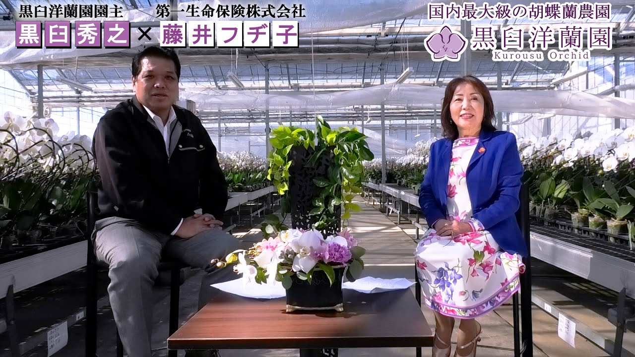 胡蝶蘭の花言「幸せが舞い降りる」は本当か検証してみた。【黒臼洋蘭園・葉素敵なお客様対談】