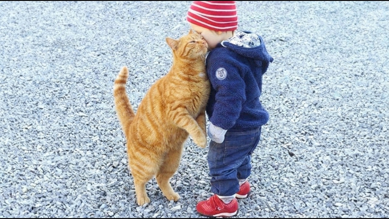 This Cat Loves the Baby More Than Anyone 🥹🐱 | Cutest Friendship Ever