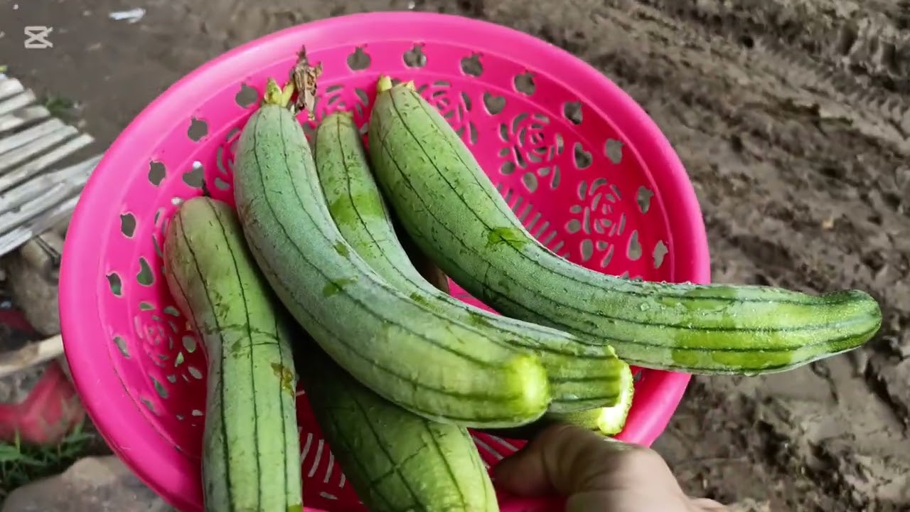 ននោងដាំខ្លួនឯង ប៉េះថ្មីៗ ស្ងោរជ្រក់ននោងជាមួយពងទា បង់ ជី ស ថែមទៀតមានរស់ជាតិផ្អែមឆ្ងាញ់