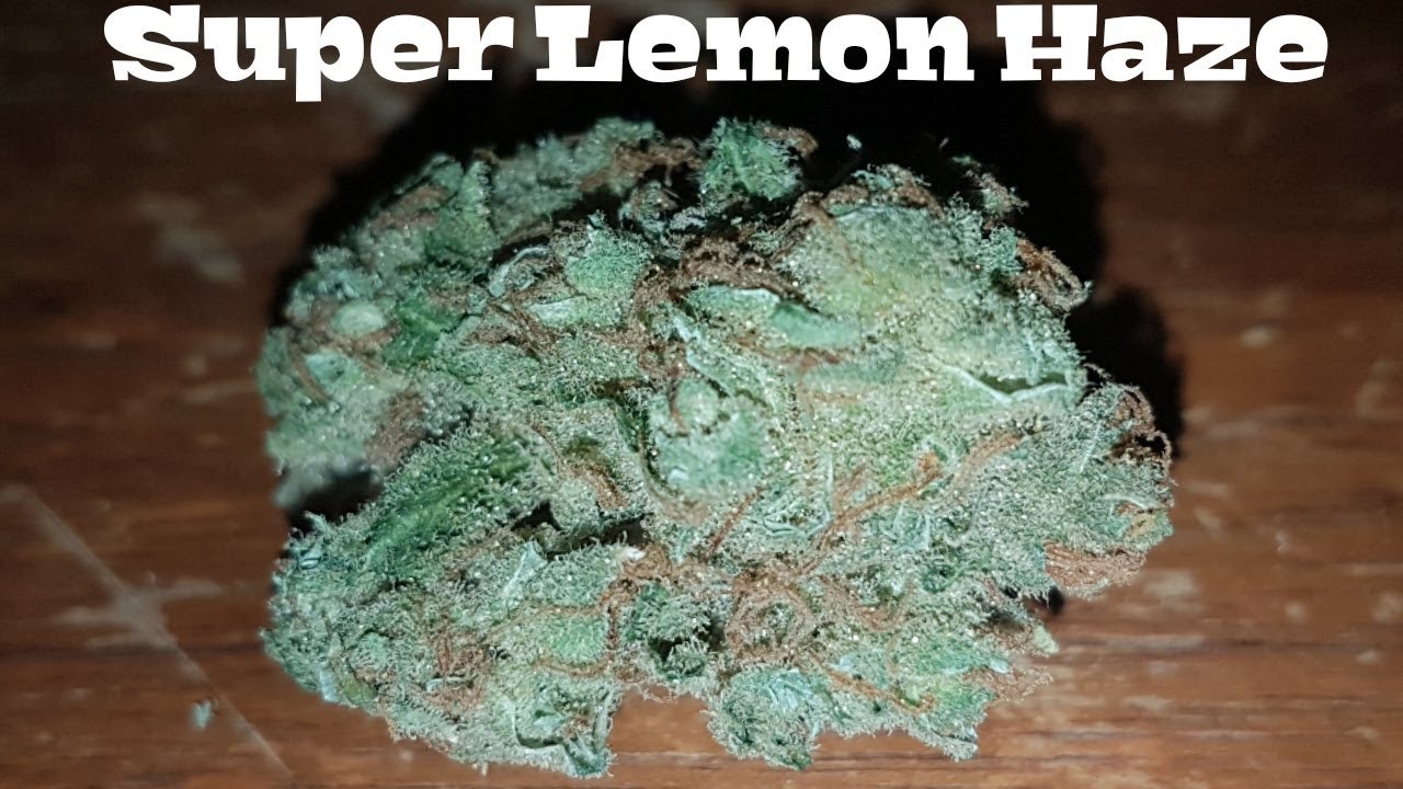 Strain Review - Super Lemon Haze (Texada)