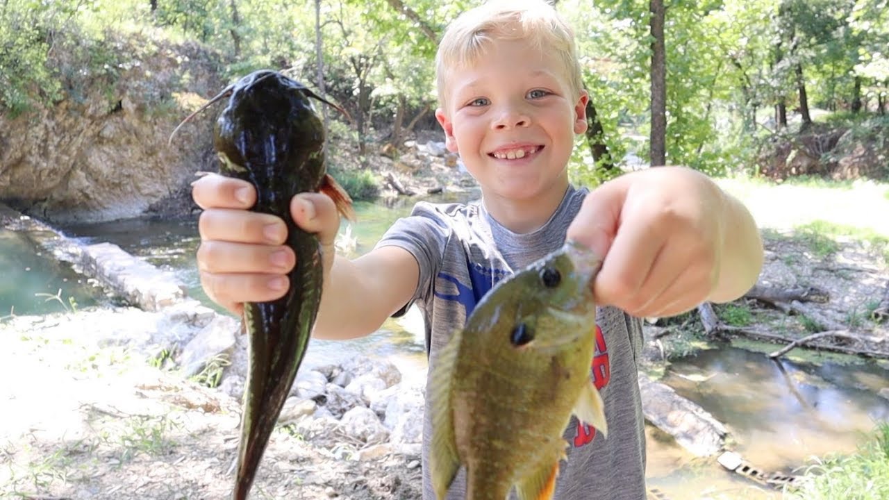 Bullhead Catfish Catch, Clean, and Cook