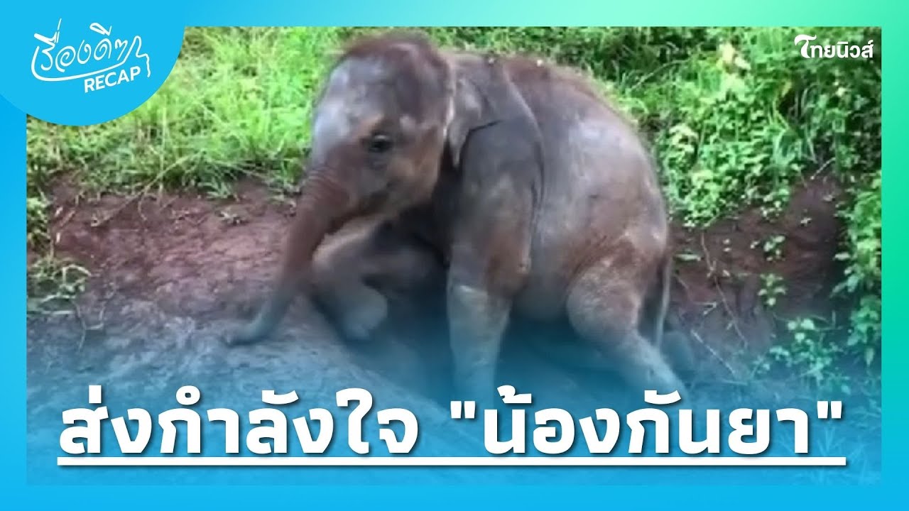 แห่ส่งกำลังใจ 