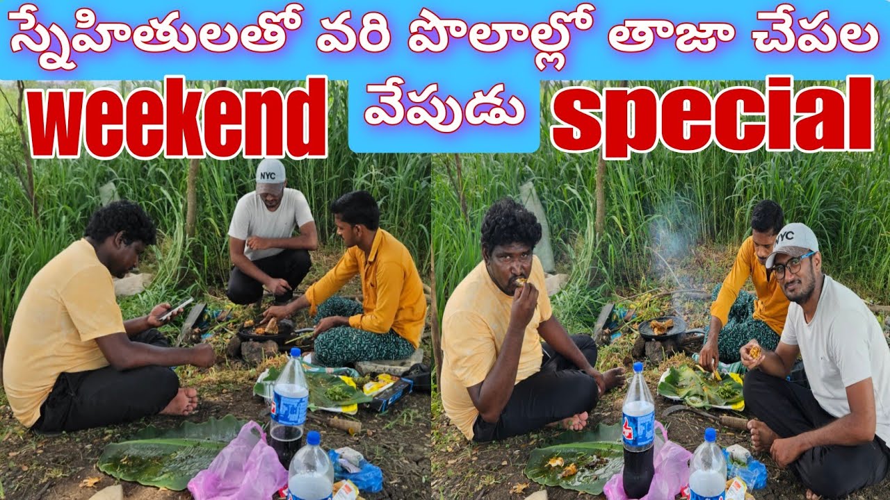 Village Life Vibes | Cooking Fresh Fish in Paddy Fields with Friends | weekend special 