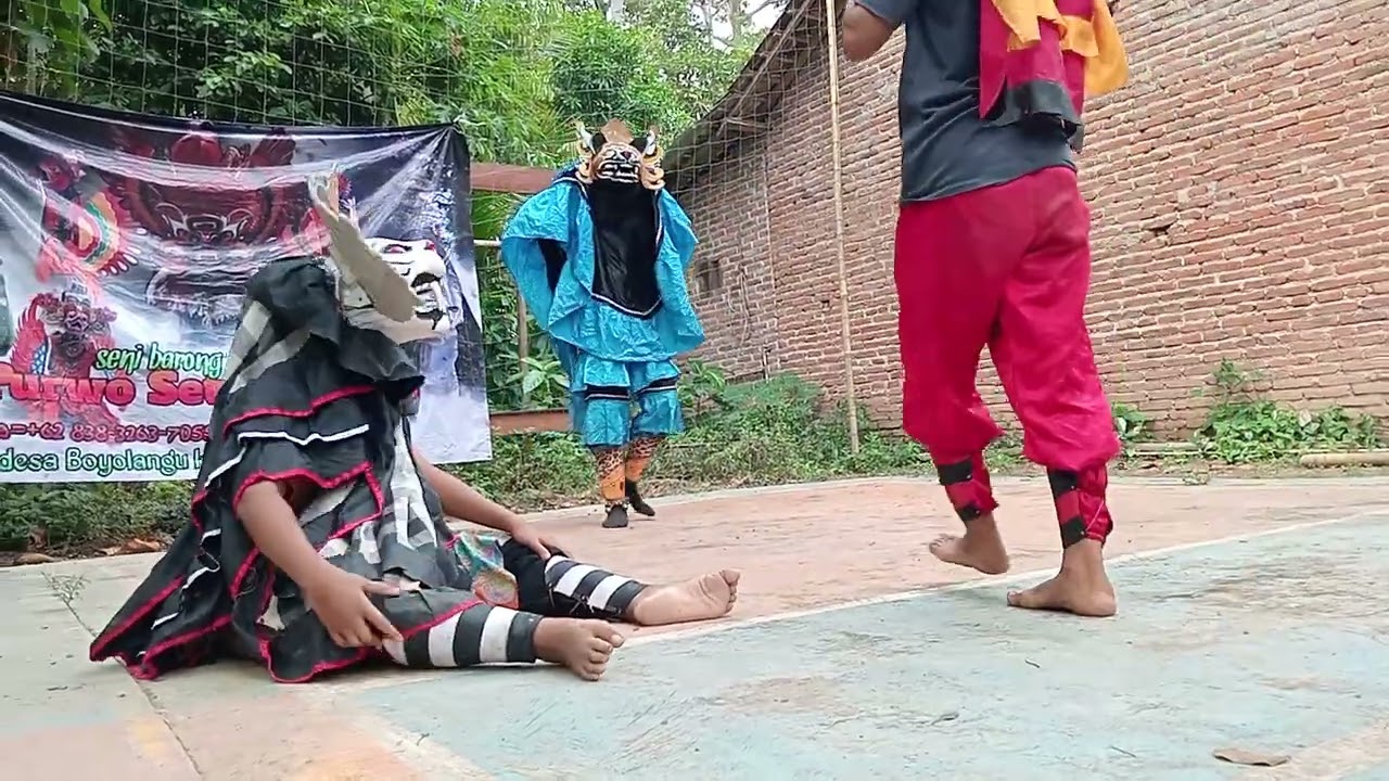 Part1  Atraksi tari kucingan barong cilik purwo setyo budoyo live concrong boyolangu banyuwangi
