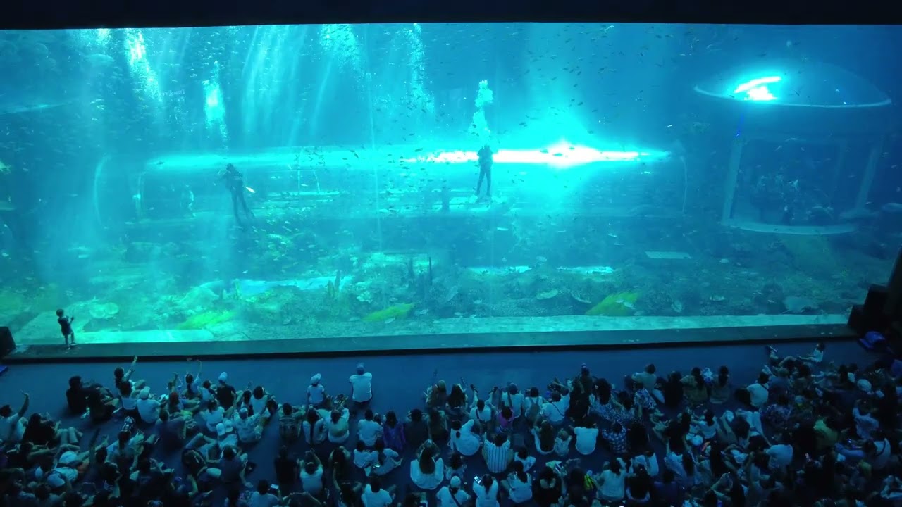 60 Minutes Watching the Deep Sea Show – Phu Quoc Aquarium [Study, Sleep, Relaxion]