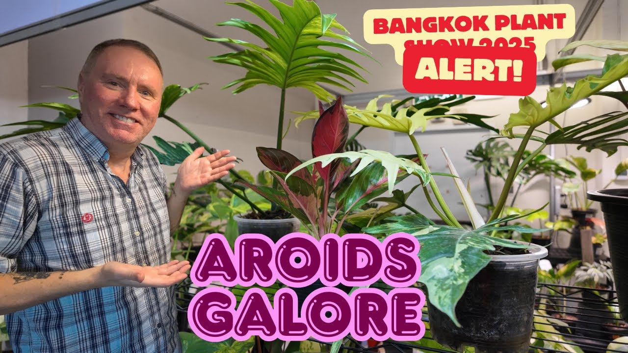 Bangkok International Plant Show Day 3 (part1) Spring 2025