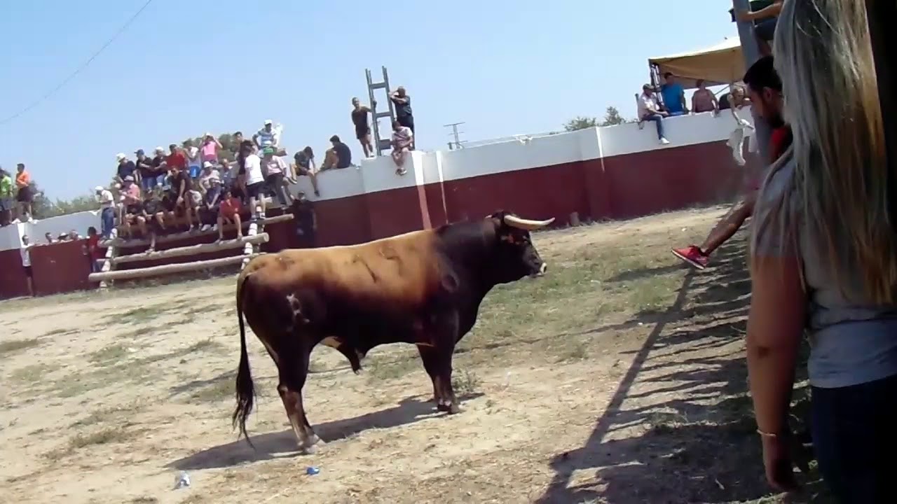 Susto,recortes en el primer encierro de tazona 2018